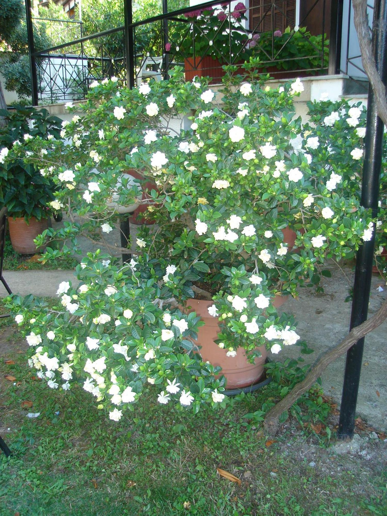Hotel Marina Agios Ioannis  Екстериор снимка